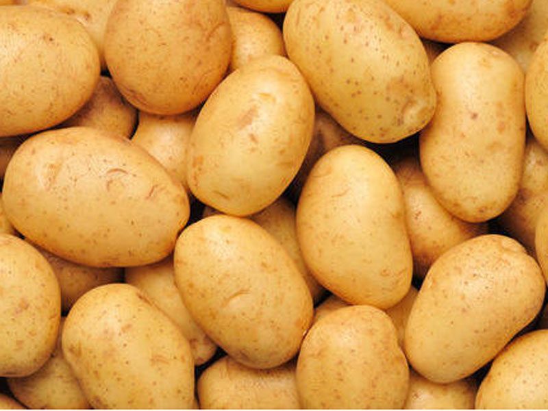 Fresh Potato